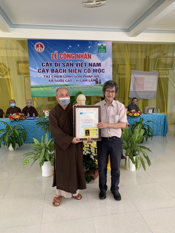 Khánh Hòa: Trao bằng công nhận cây di sản tại chùa Linh Sơn Pháp Ấn