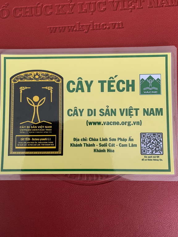 Khánh Hòa: Trao bằng công nhận cây di sản tại chùa Linh Sơn Pháp Ấn
