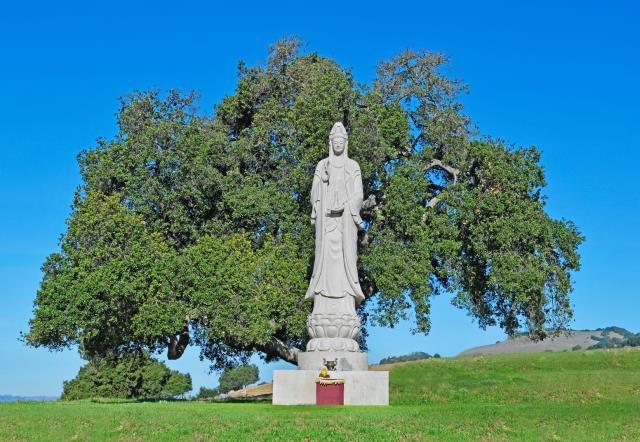 Tu Viện Thôn Yên, Gilroy (Hoa Kỳ): Tổ Chức Lễ Cầu Bình Yên Và Tiệc Chay Mừng Tu Viện 10 Năm Thành Lập
