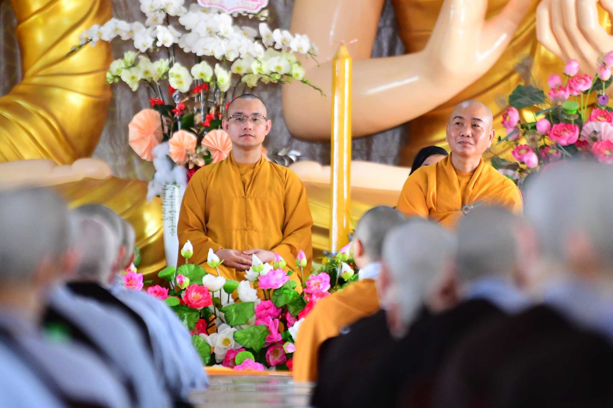 Tăng ly chúng tăng tàn - Hổ ly sơn hổ bại
