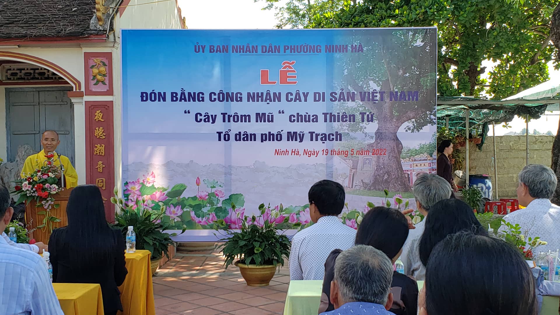 Khánh Hòa: Trao bằng công nhận cây di sản tại chùa Thiên Tứ