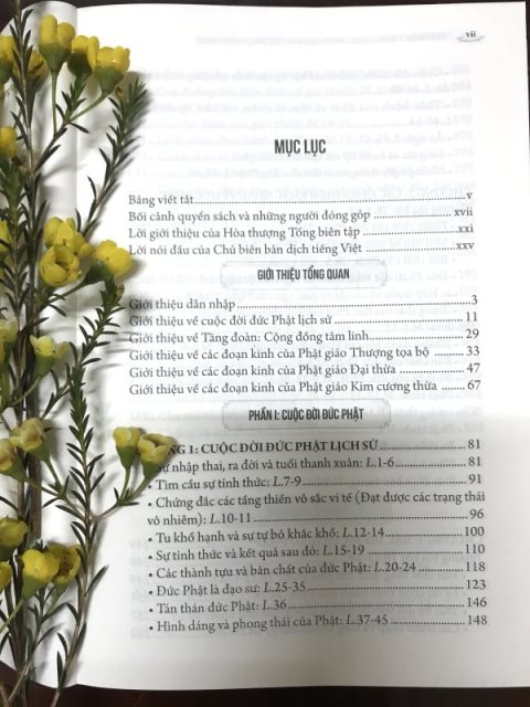 Ấn Tống Sách Giáo Khoa Cho 33 Trường Trung Cấp Phật Học – Gđ6 (C84-6)