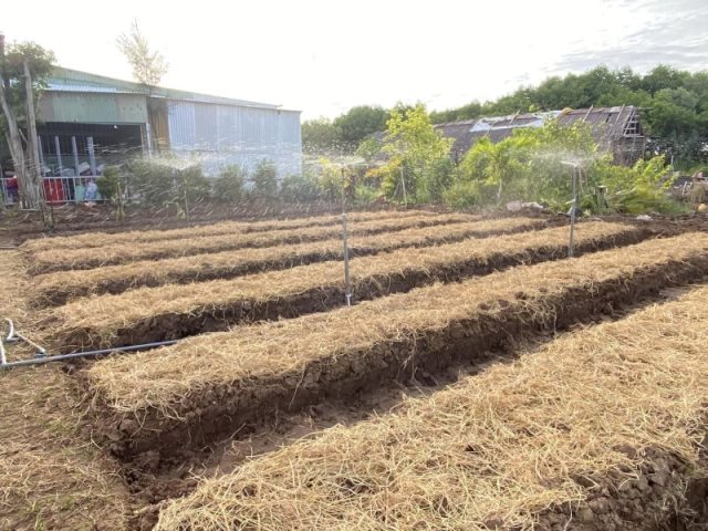 Cúng Dường Xây Dựng Chùa Quan Âm Đông Hải Tại Sóc Trăng (Qađh-3)