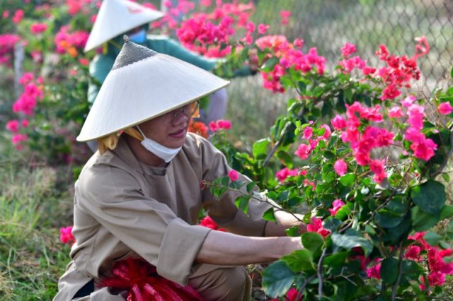 Cúng Dường Xây Dựng Chùa Quan Âm Đông Hải Tại Sóc Trăng (Qađh-3)