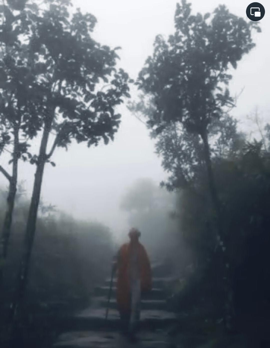 Tâm Linh Độc Hành   (Thầy Tuệ Sỹ Từ Quảng Hương Già Lam Lên Núi…)