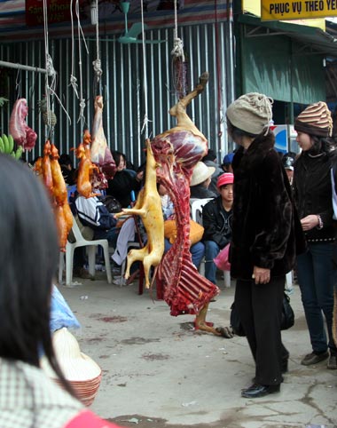 Chen chúc trảy hội chùa Hương