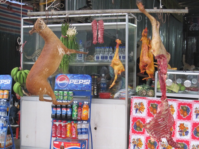 Chùa Hương mùa lễ hội