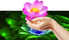 Hiến tặng