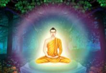 Ý Nghĩa Khoa Học Của Tư Thế Hoa Sen