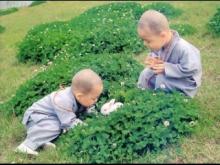 Sống với hiện tại