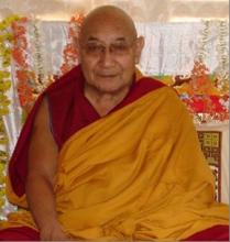 Dhakpa Tulku Rinpoche