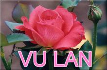 Sự  tích rằm tháng Bảy và xuất xứ của hai tiếng Vu Lan