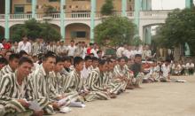 Tình Tiền Tù Tội