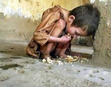 Tuyển tập10 bài – Tình Tự Quê Hương 15