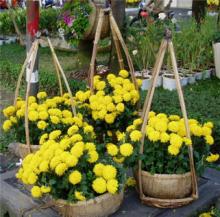 Gánh nặng của quá khứ