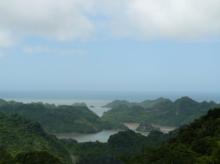 Tuyển tập10 bài – Tình Tự Quê Hương 46 (Thơ Mặc Giang)