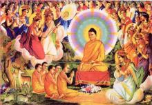 Kinh Chuyển Pháp Luân - Thi hóa