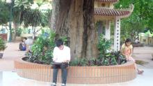 Sát ngày thi, sĩ tử lên chùa ôn luyện