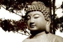 Tâm Tình Của Một Người Vào Ðạo