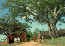 Chùa Làng, Chùa Thị