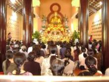 15. Tình Pháp Hữu