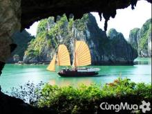 Hội Long Hoa
