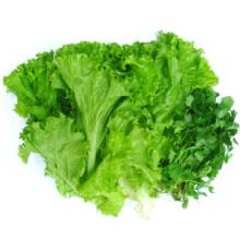 Rau diếp xoăn trị bệnh tim mạch