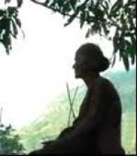 Tuyển tập 10 bài Số 120 (Từ bài số 1191 đến số 1200)