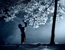 Vườn Hồng kết nụ Mẹ Yêu