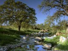 Hùng Tuyên Son Sắt