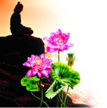Để cuộc sống được thăng hoa