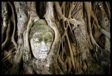 Giữ tâm không cấu uế
