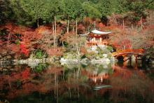 Sắc màu mùa thu ở Kyoto