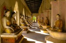 Tương quan sự sống