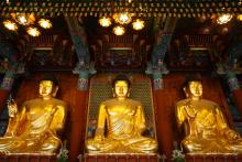 Những giai tầng phát triển