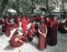 Tây Tạng ngày nay - Kỳ 3: Lạt ma và Hoa hồng