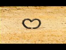 Video: Những chú cuốn chiếu đáng yêu