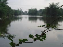 Thơ Đường Luật