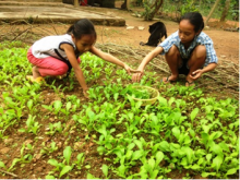 Bốn Chị Em xứ Quảng