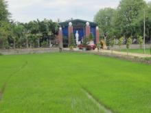 Lễ húy kỵ cố Hòa thượng Chơn Trừ