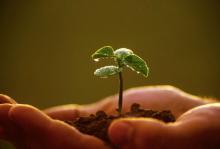 Lòng Tin Của Người Phật Tử