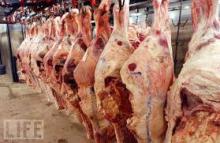 Cuộc Đời Kẻ Mê Người Tỉnh