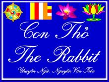 Con Thỏ (Truyện Tiền Thân Đức Phật Thích Ca)
