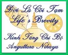 Đời Là Cõi Tạm (Kinh Tăng Chi Bộ)
