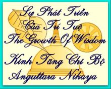 Sự Phát Triển Của Trí Tuệ (Kinh Tăng Chi Bộ)