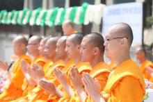 Chùm ảnh: Lễ Khai mạc ngôi Làng Thiền Phật giáo Thái Lan tại Nhật Bản