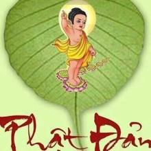 Tâm hương mùa Phật Đản