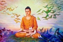 Thiền Định Sẽ Giúp Cho Tôi, Những Điều Gì? (What Will Meditation Do For Me?