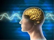 Cái Biết Thường Hằng Nơi Mỗi Con người