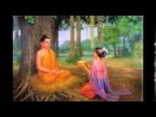 Thấy Biết Sai Lầm